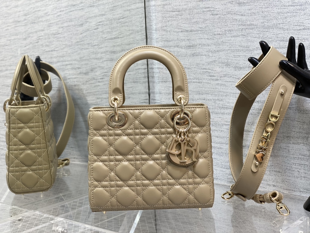 SMALL LADY DIOR BAG