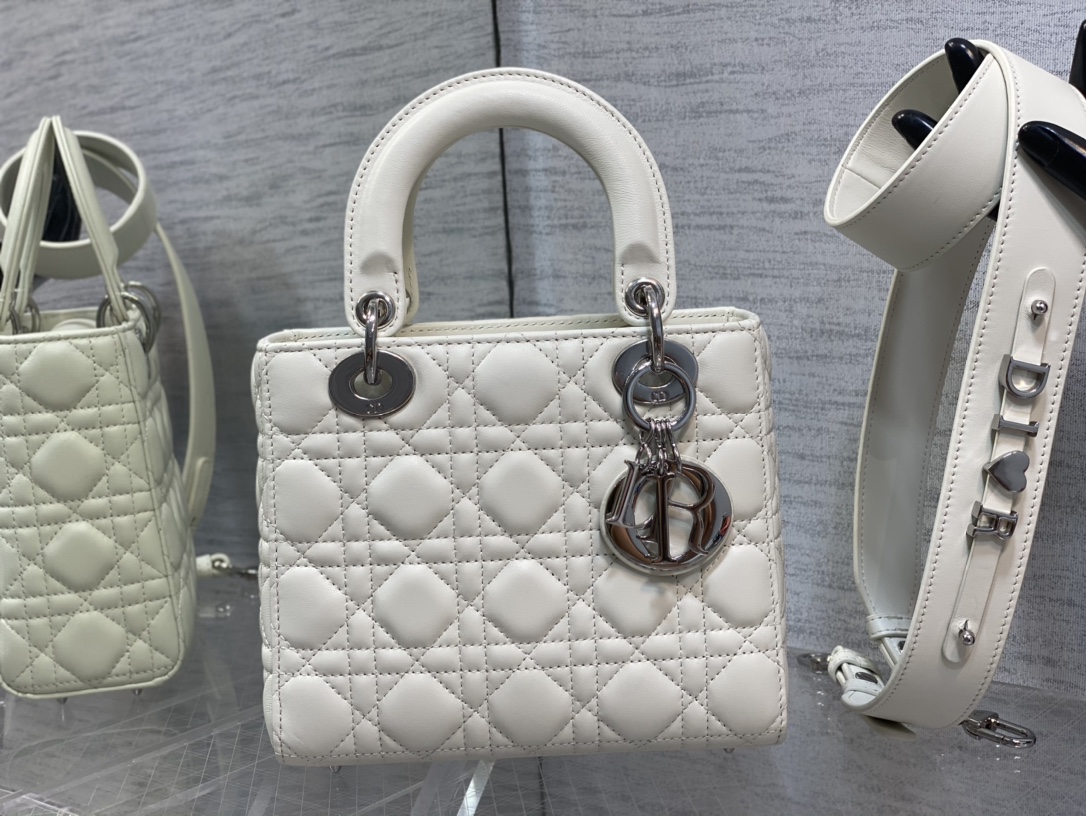 SMALL LADY DIOR BAG