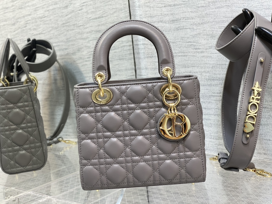 SMALL LADY DIOR BAG