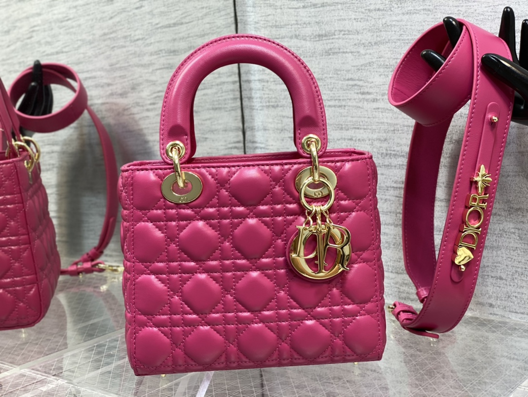 SMALL LADY DIOR BAG