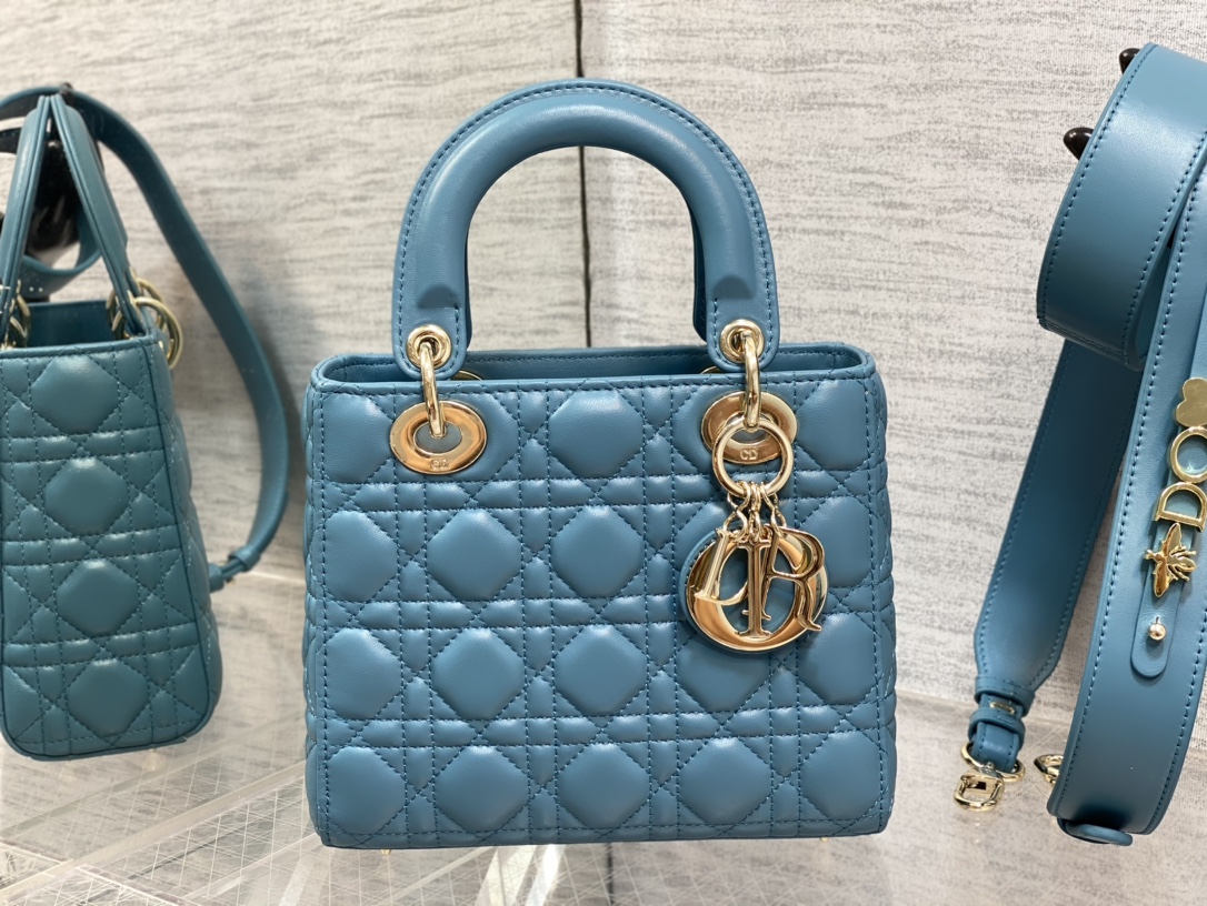 SMALL LADY DIOR BAG