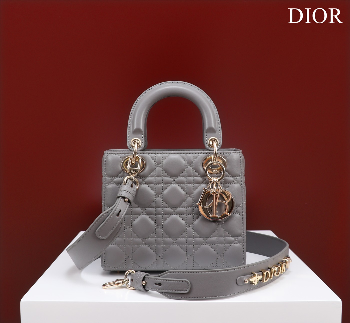 SMALL LADY DIOR BAG