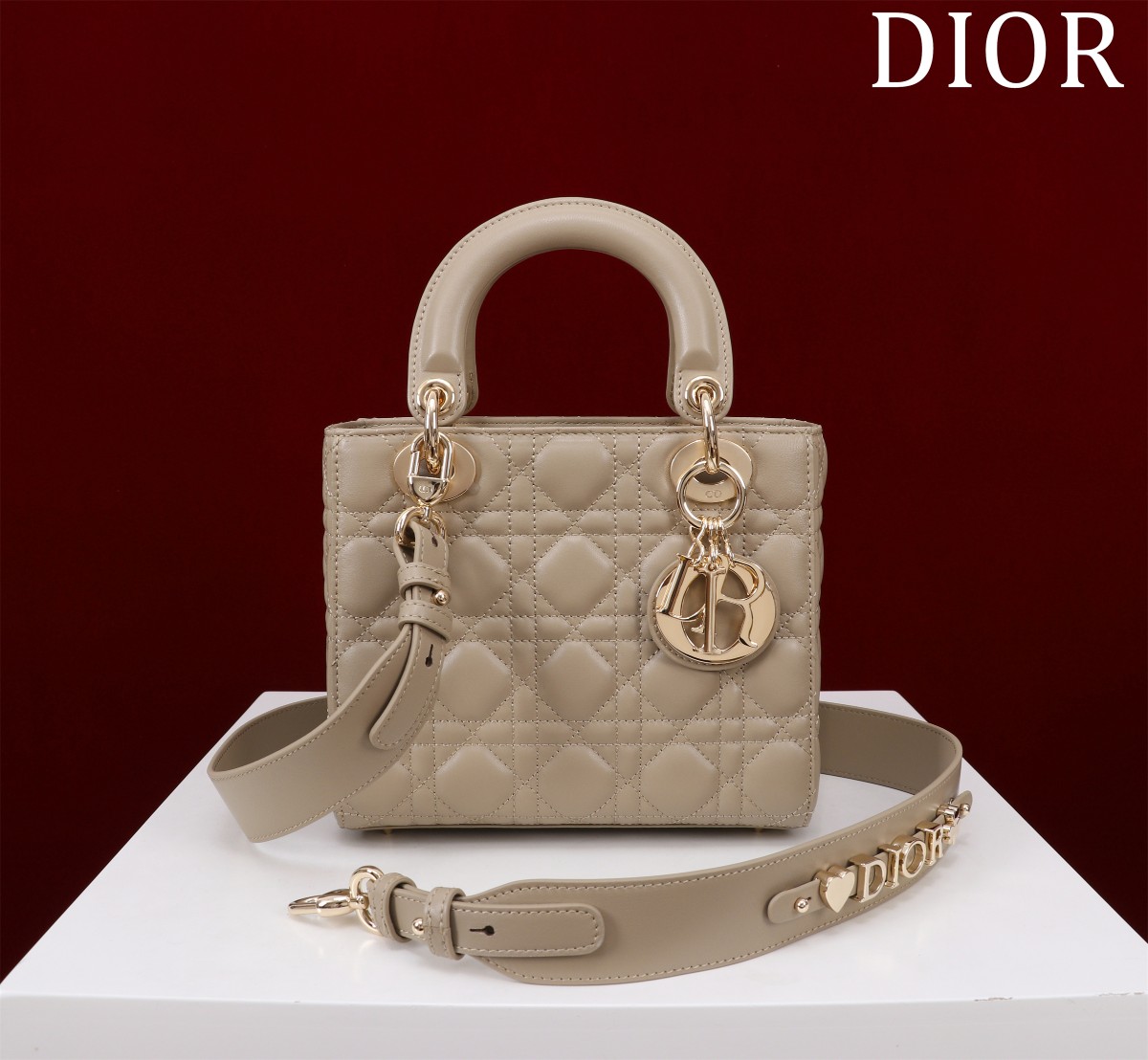 SMALL LADY DIOR BAG