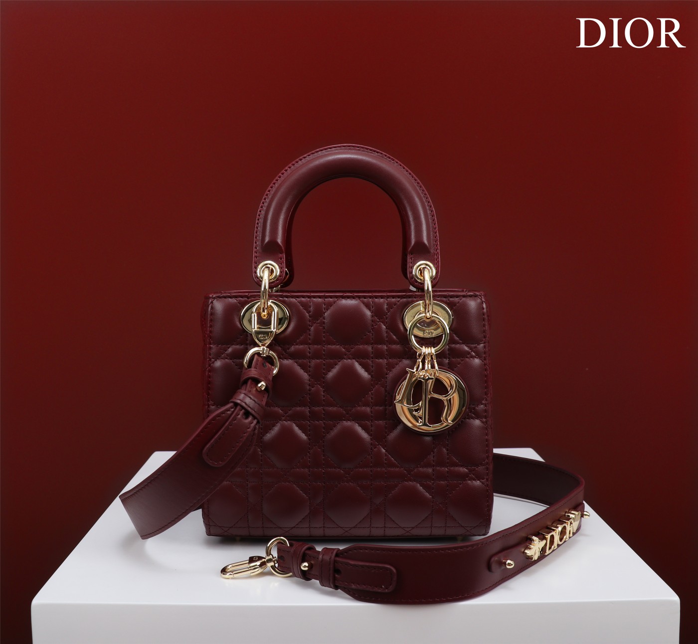 SMALL LADY DIOR BAG