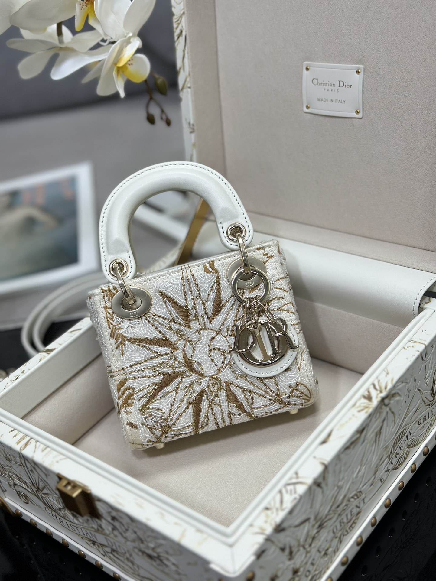 LADY DIOR MICRO BAG (Limited edition)